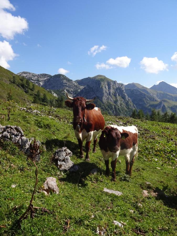 Malterlehen-Berchtesgaden Apartment ภายนอก รูปภาพ