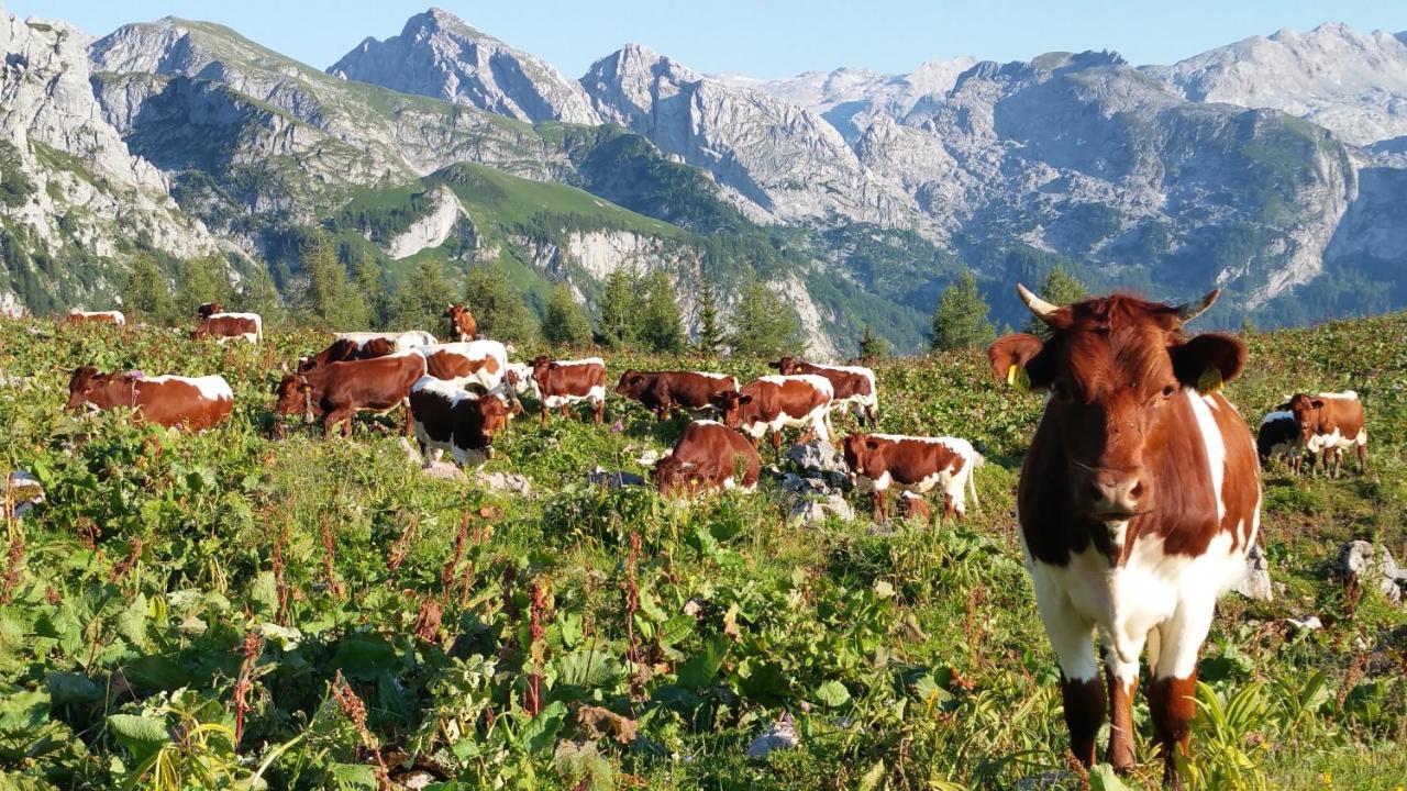 Malterlehen-Berchtesgaden Apartment ภายนอก รูปภาพ